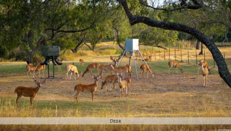 1958 County Road 237 Falls City TX 78113