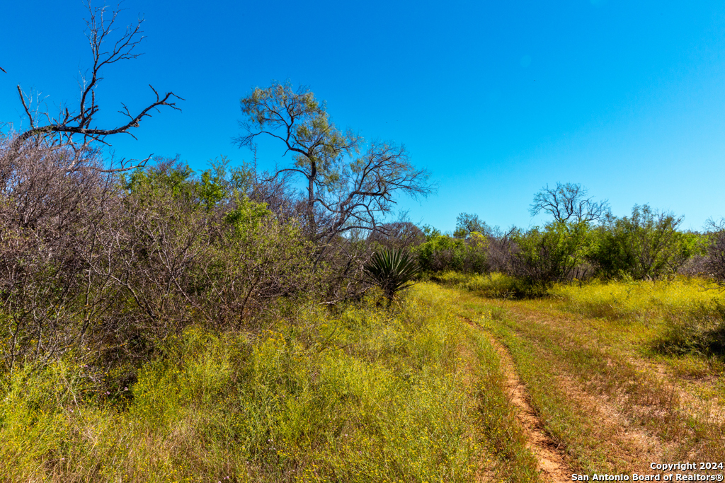 Cr 661 Devine TX 78016