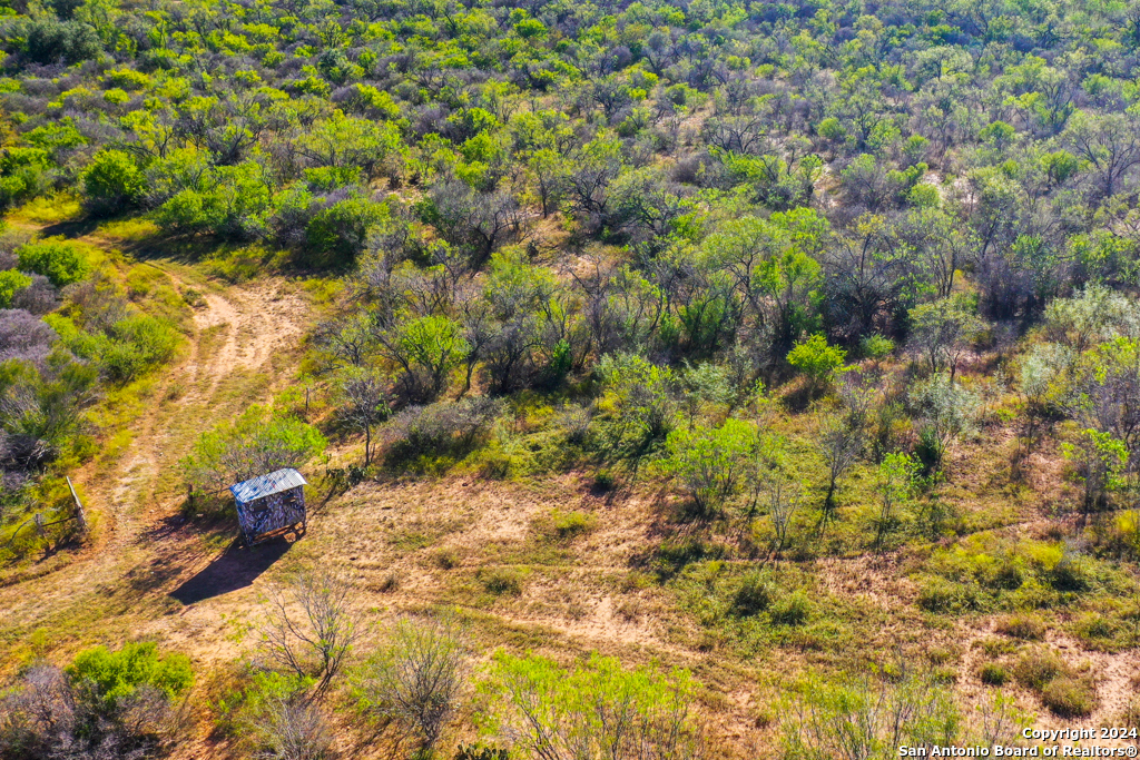 Cr 661 Devine TX 78016