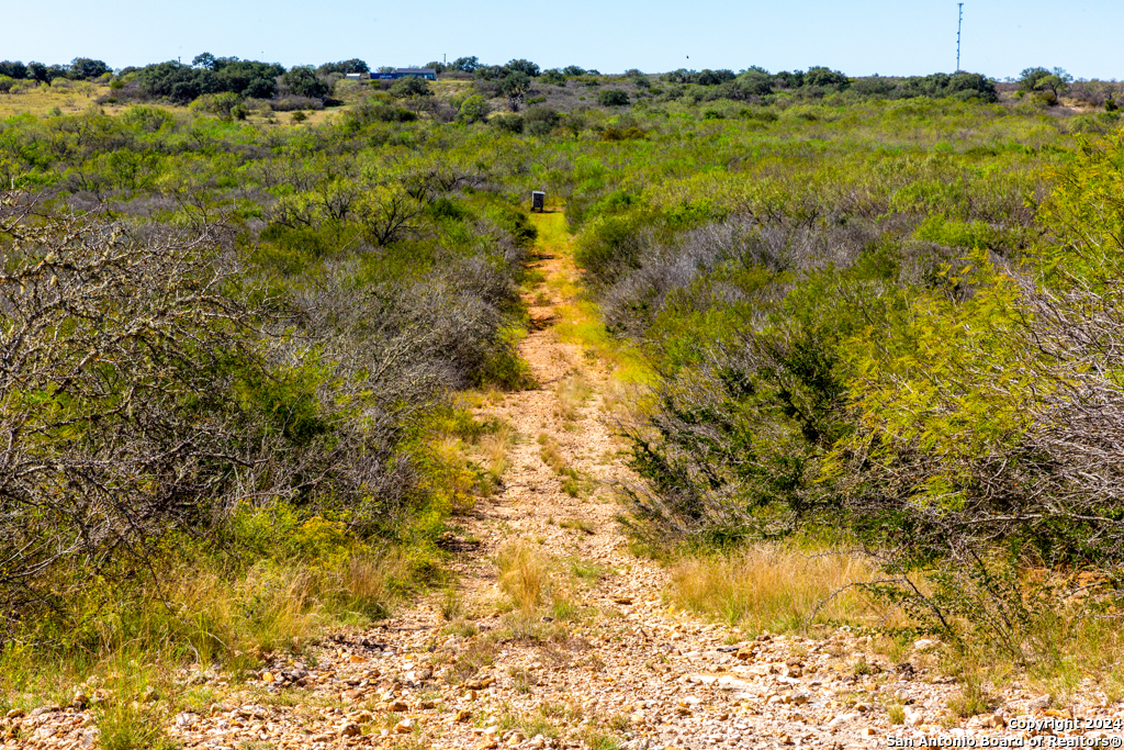 Cr 661 Devine TX 78016