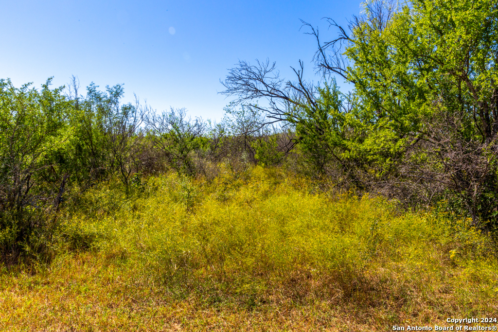 Cr 661 Devine TX 78016