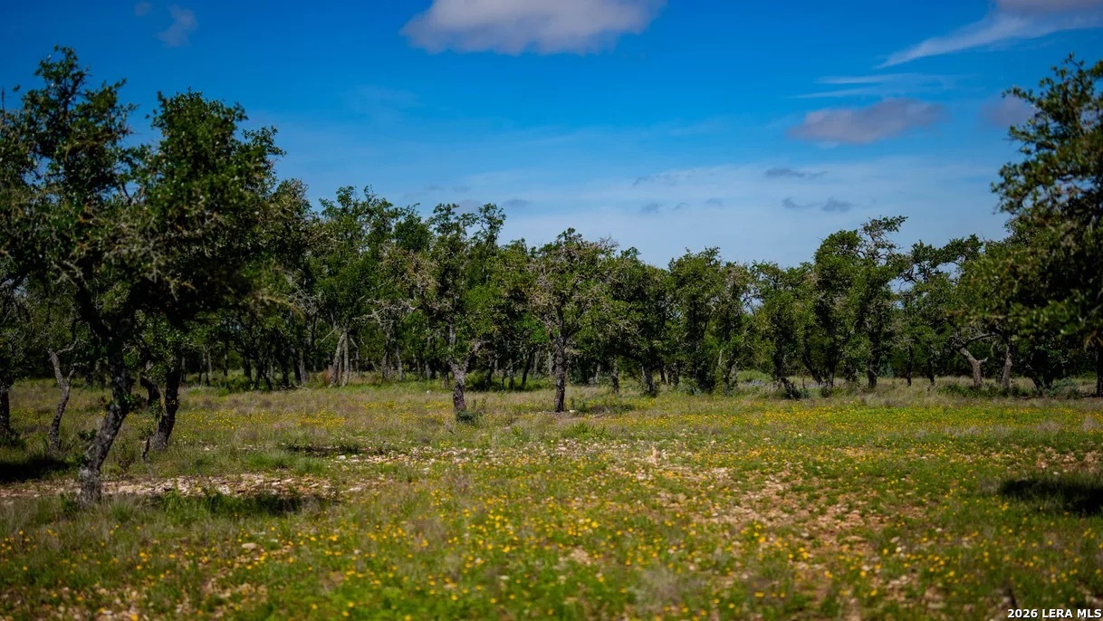 Tbd El Rincon Mountain Home TX 78058