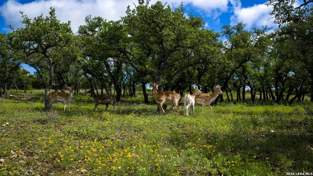 Tbd El Rincon Mountain Home TX 78058