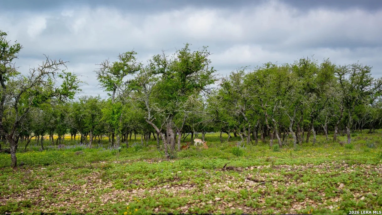 Tbd El Rincon Mountain Home TX 78058