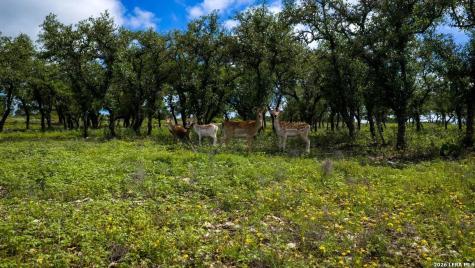 Tbd El Rincon Mountain Home TX 78058