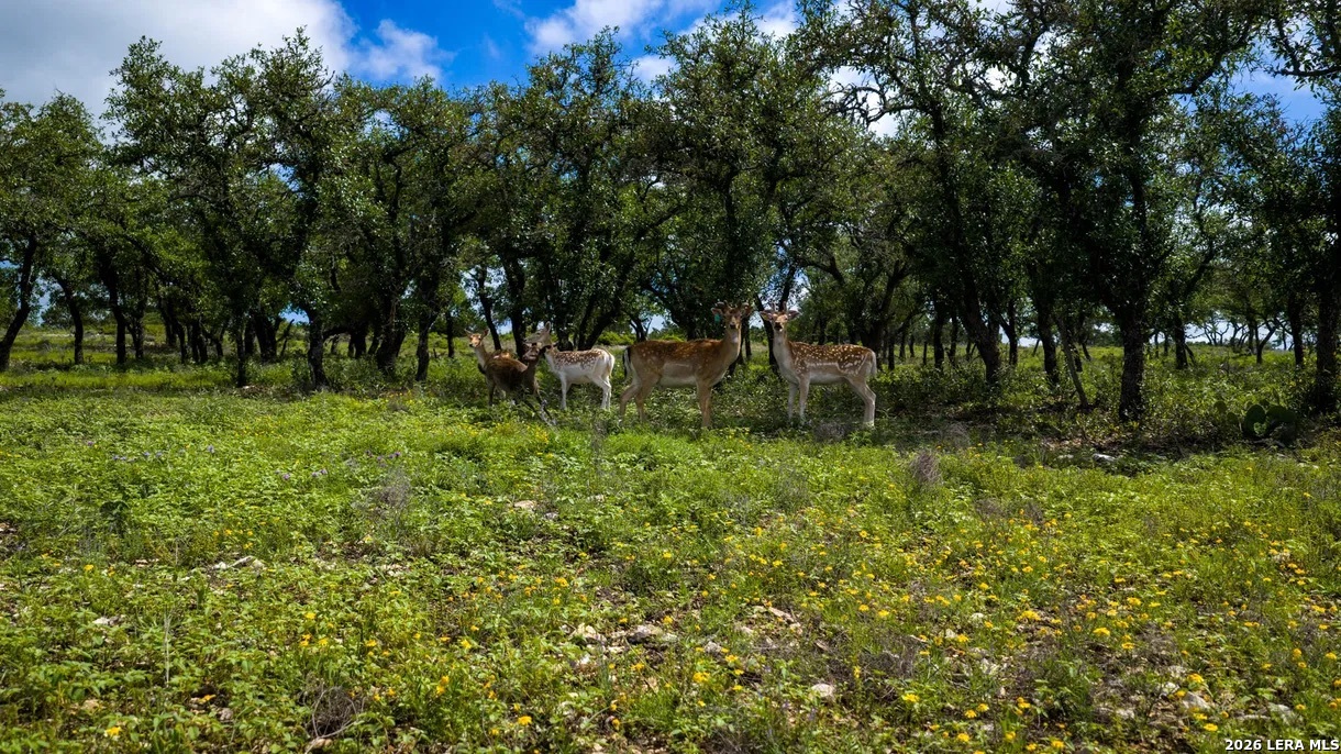 Tbd El Rincon Mountain Home TX 78058