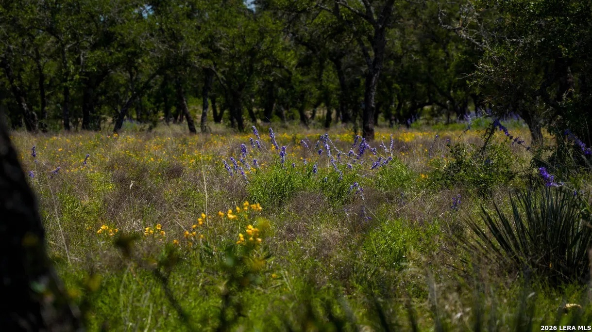 Tbd El Rincon Mountain Home TX 78058