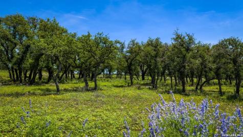 Tbd El Rincon Mountain Home TX 78058