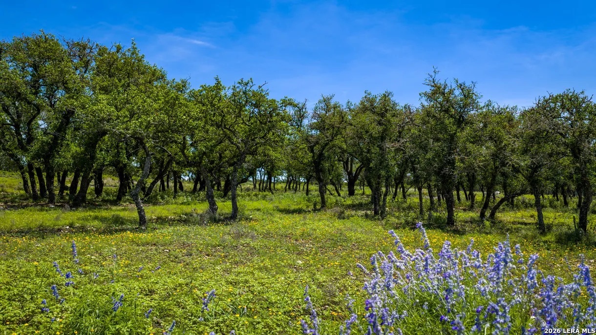 Tbd El Rincon Mountain Home TX 78058