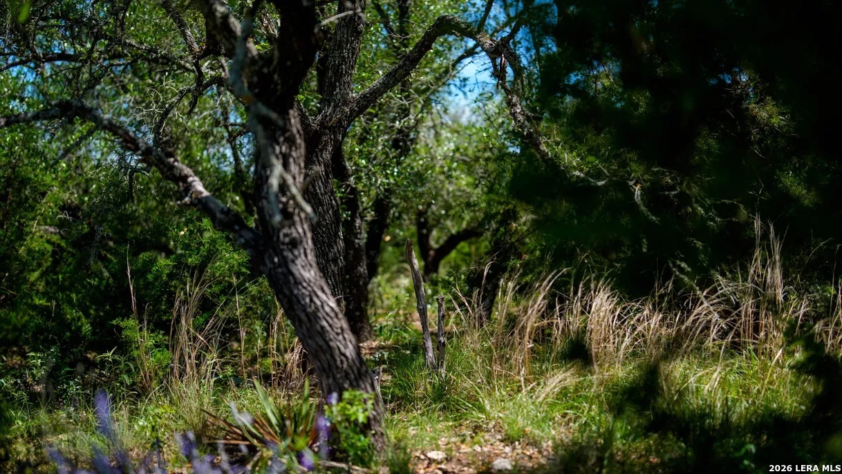 Tbd El Rincon Mountain Home TX 78058
