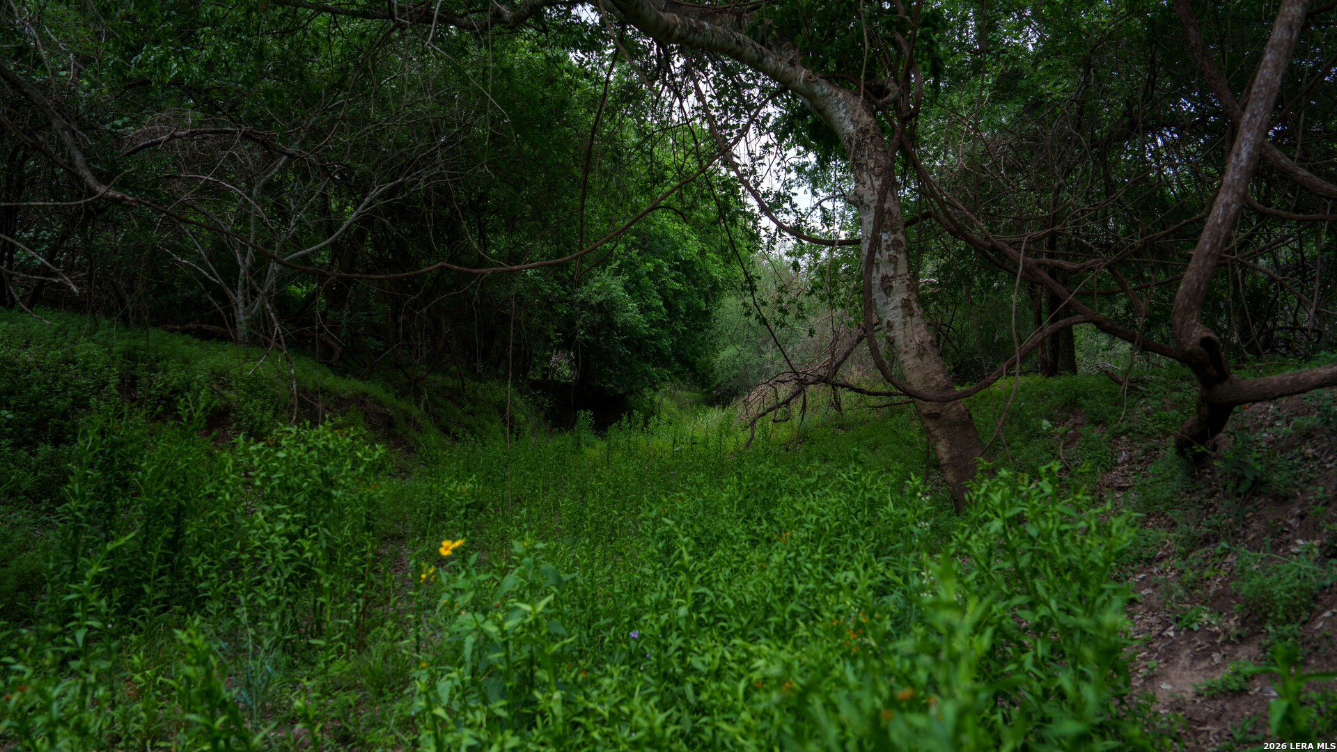 1251 County Road 210 Floresville TX 78114