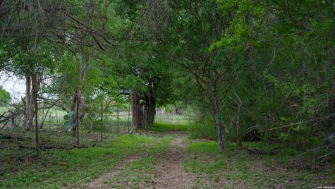 1251 County Road 210 Floresville TX 78114