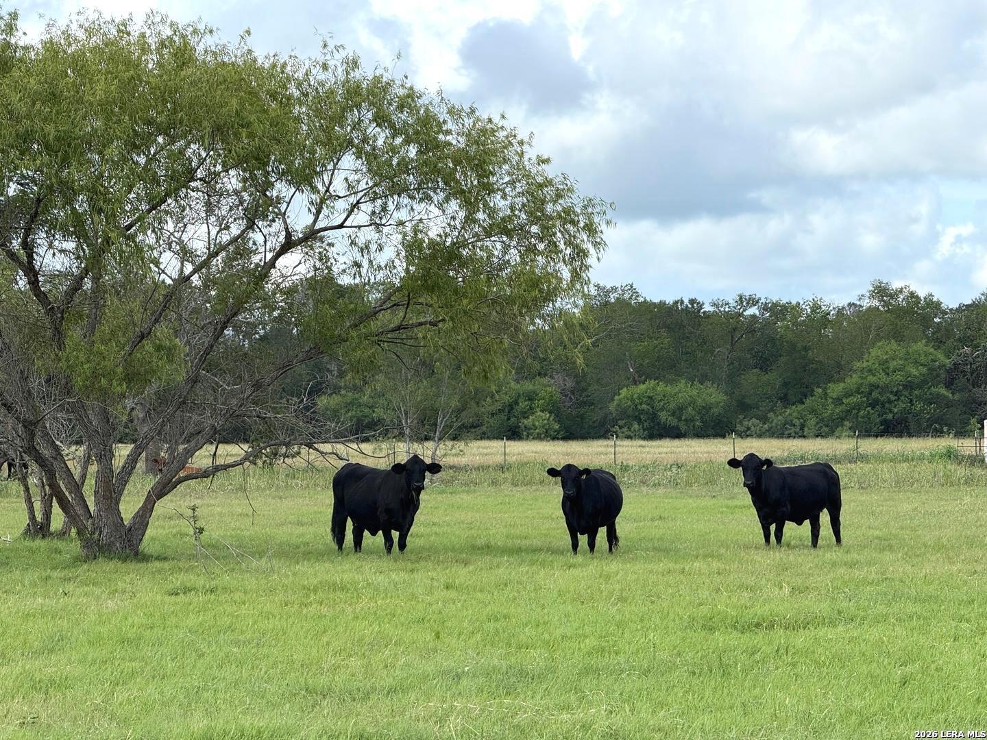 2712 N State Highway 80 Nixon TX 78140