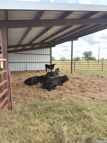 2712 N State Highway 80 Nixon TX 78140