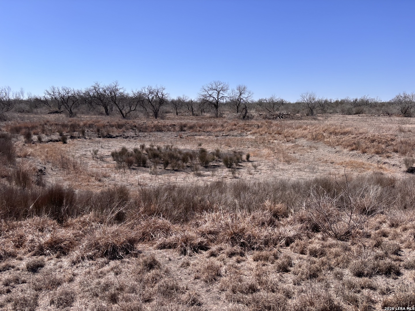 0000 Highway 72 Three Rivers TX 78071