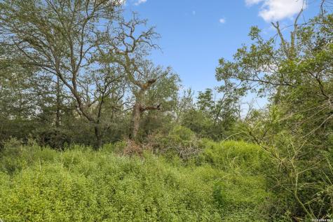 3285 Pittman San Antonio TX 78152