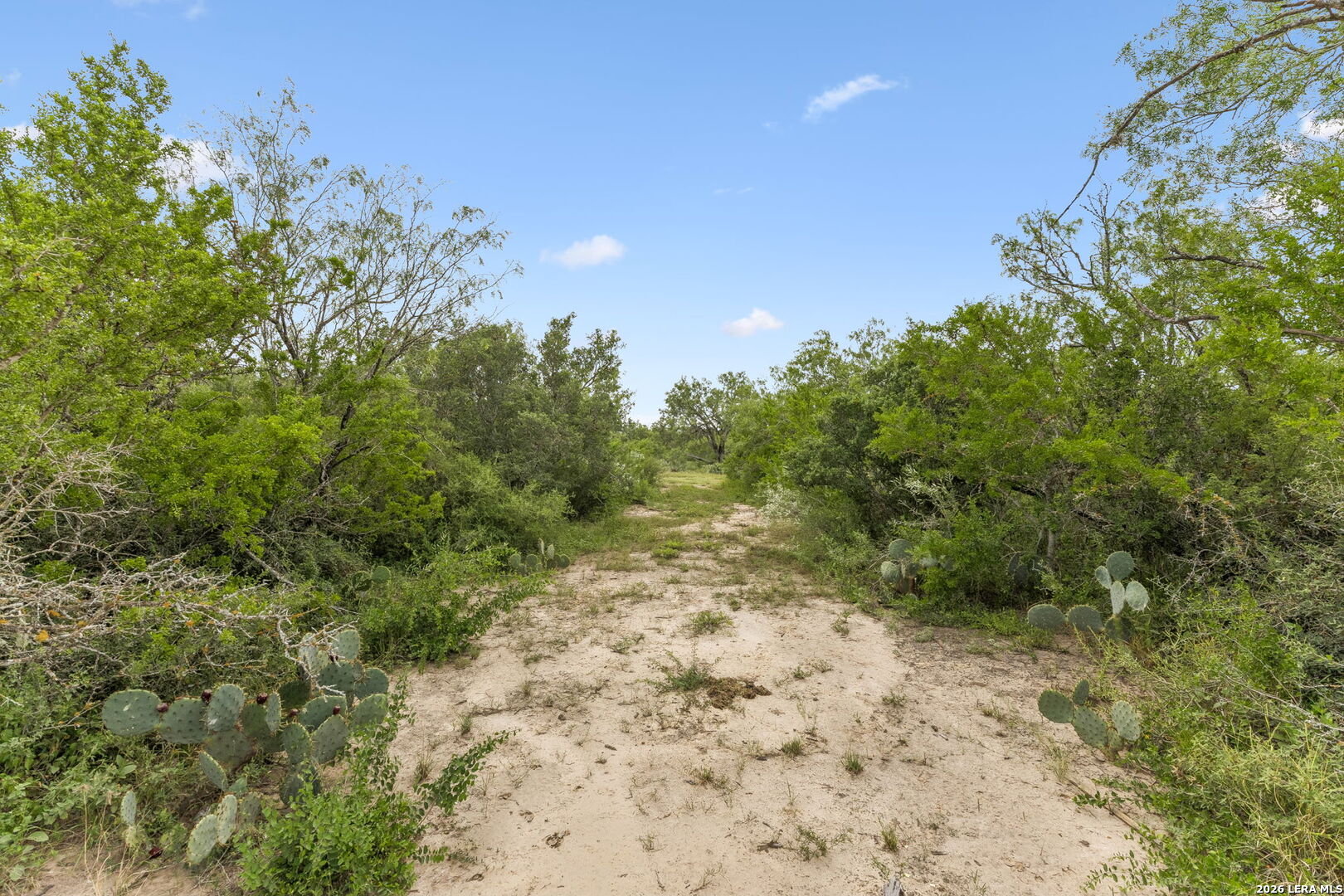 3285 Pittman San Antonio TX 78152