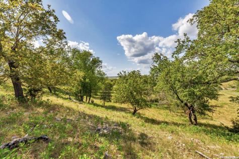 481 Living Water Ranch Road Harper TX 78631