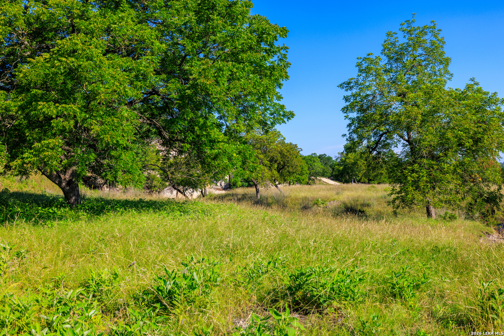481 Living Water Ranch Road Harper TX 78631