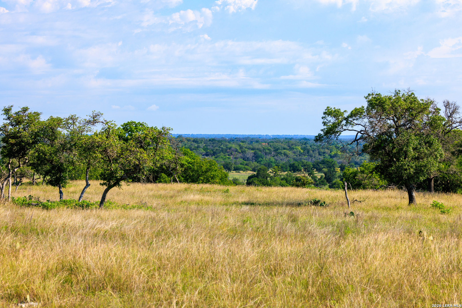 481 Living Water Ranch Road Harper TX 78631