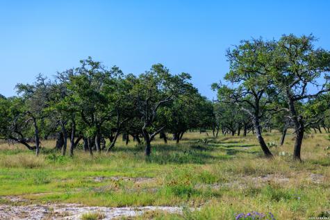481 Living Water Ranch Road Harper TX 78631