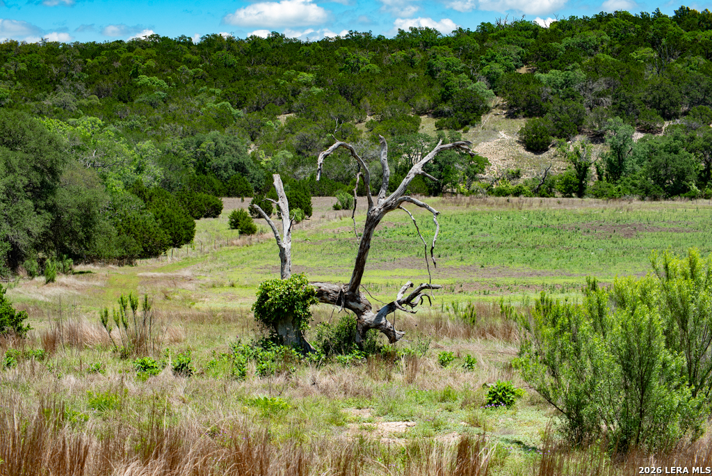 1634 Kallenberg -KLINKSEIK Fredericksburg TX 78624