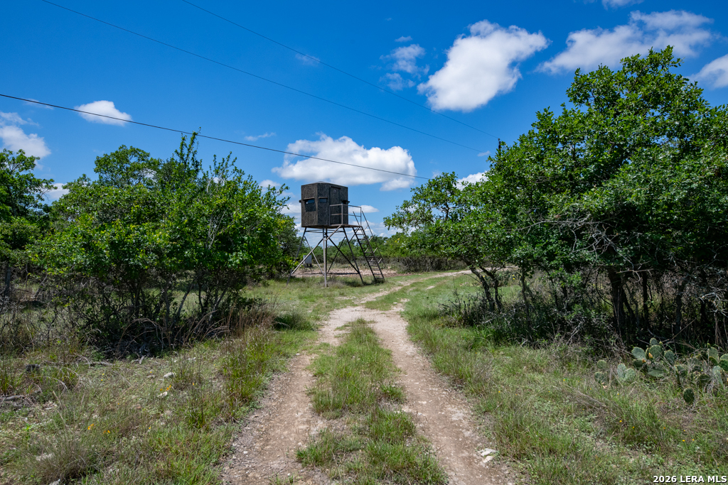 1634 Kallenberg -KLINKSEIK Fredericksburg TX 78624