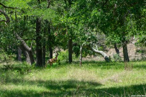 1634 Kallenberg -KLINKSEIK Fredericksburg TX 78624