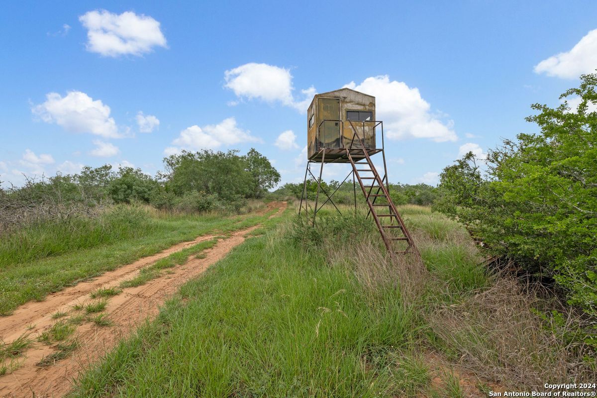 1555 Fm 3350 Jourdanton TX 78026