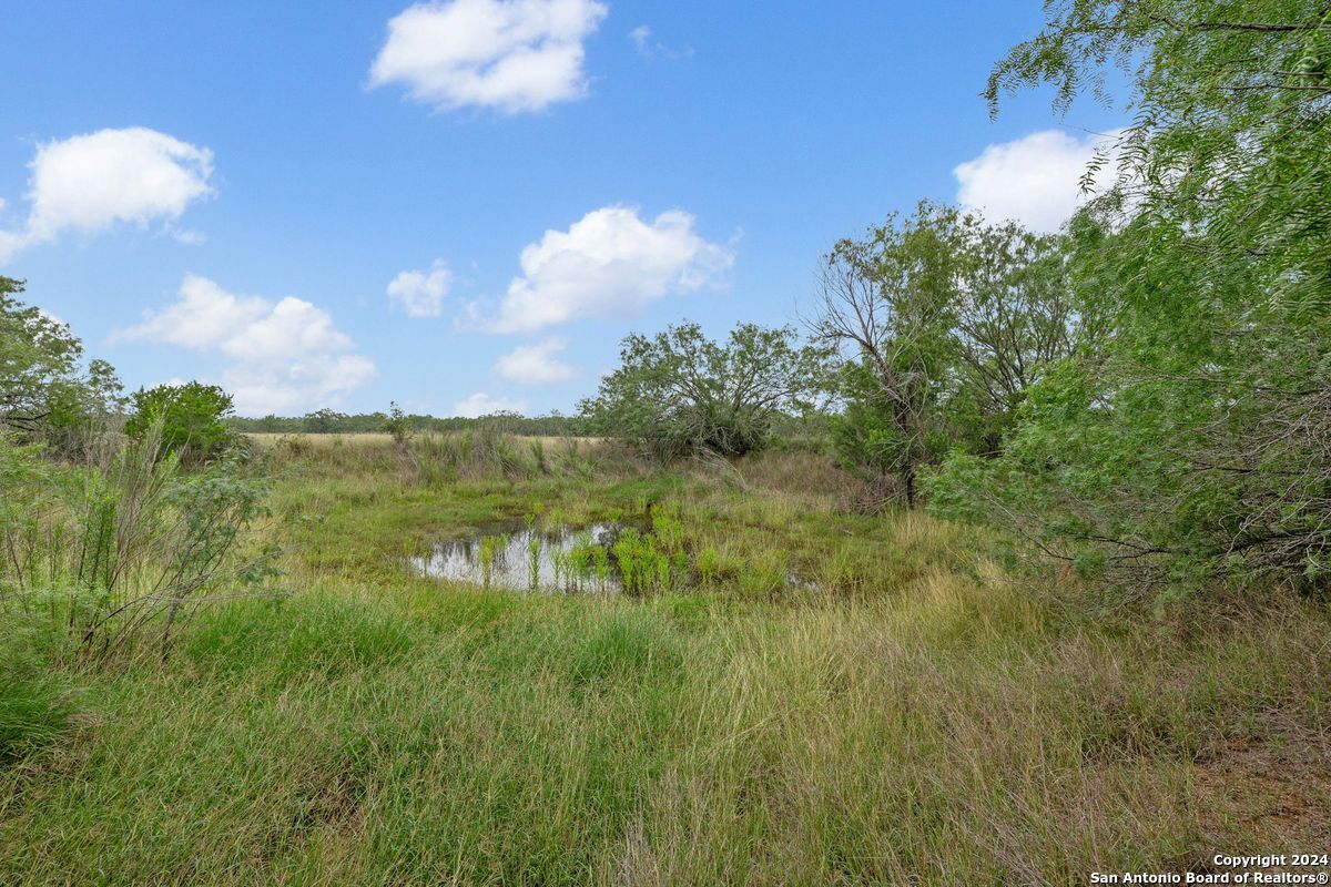 1555 Fm 3350 Jourdanton TX 78026