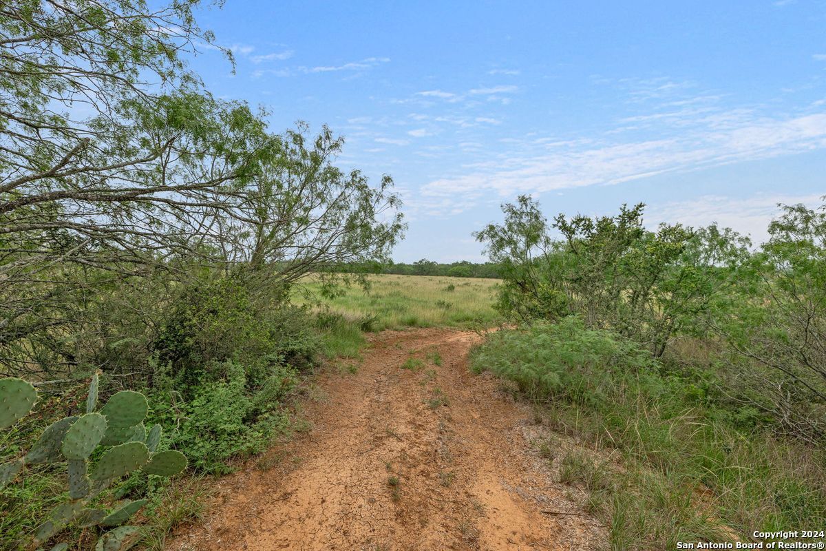 1555 Fm 3350 Jourdanton TX 78026