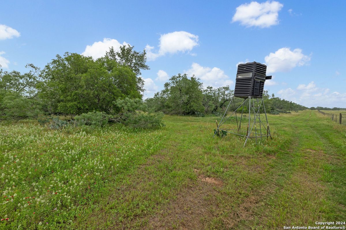 1555 Fm 3350 Jourdanton TX 78026