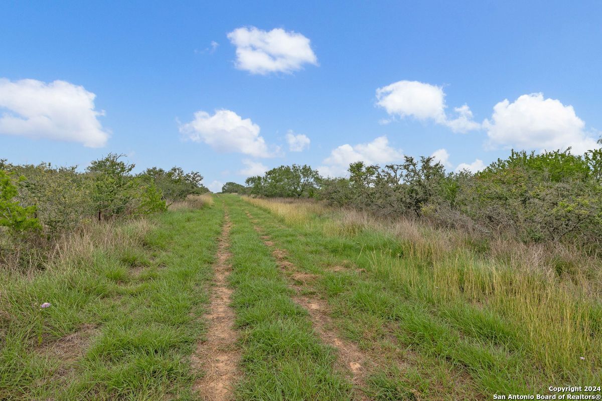 1555 Fm 3350 Jourdanton TX 78026