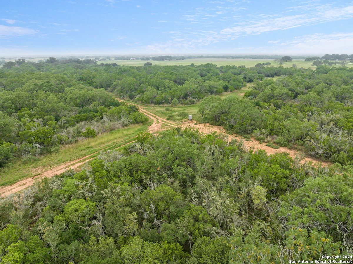 1555 Fm 3350 Jourdanton TX 78026