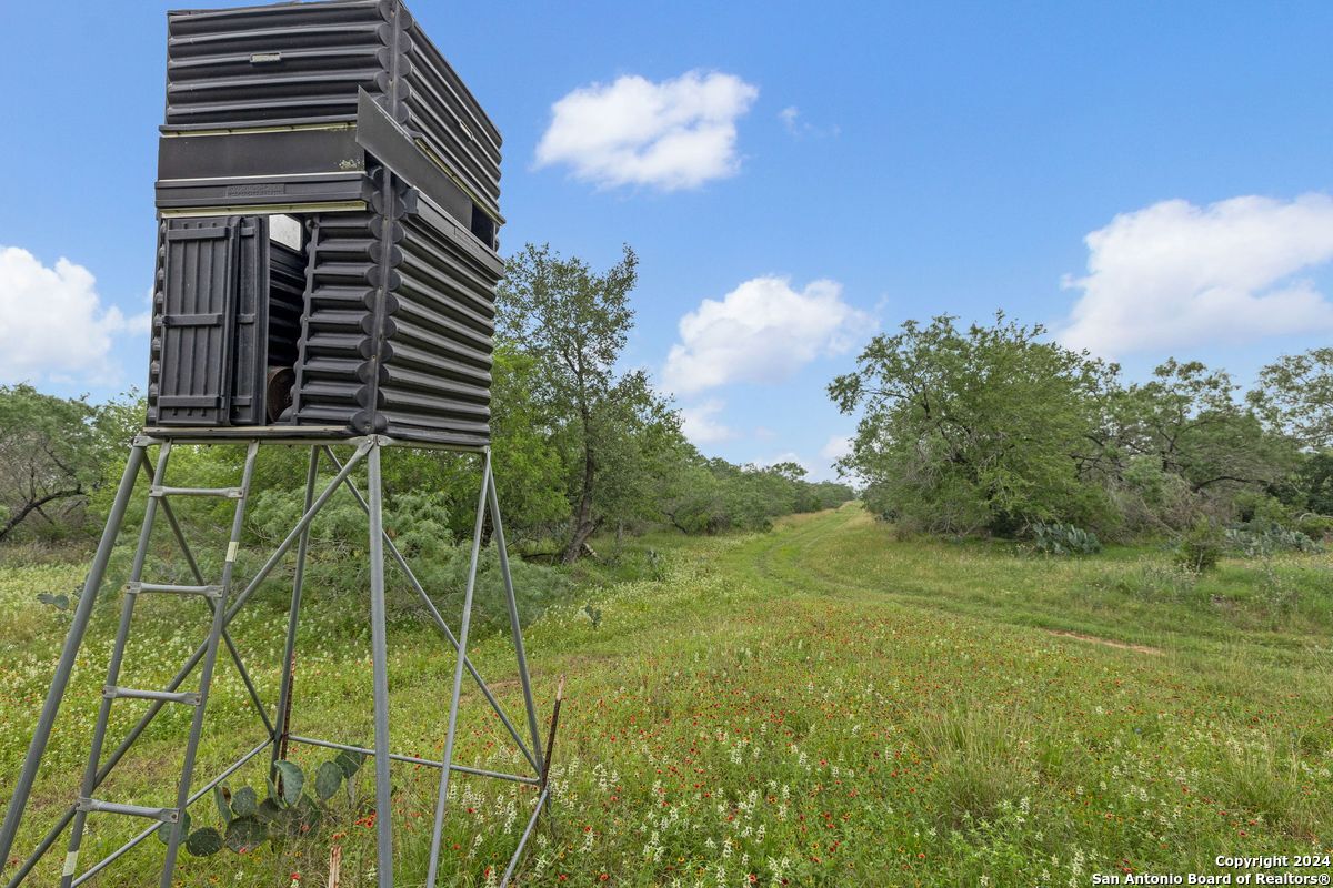 1555 Fm 3350 Jourdanton TX 78026