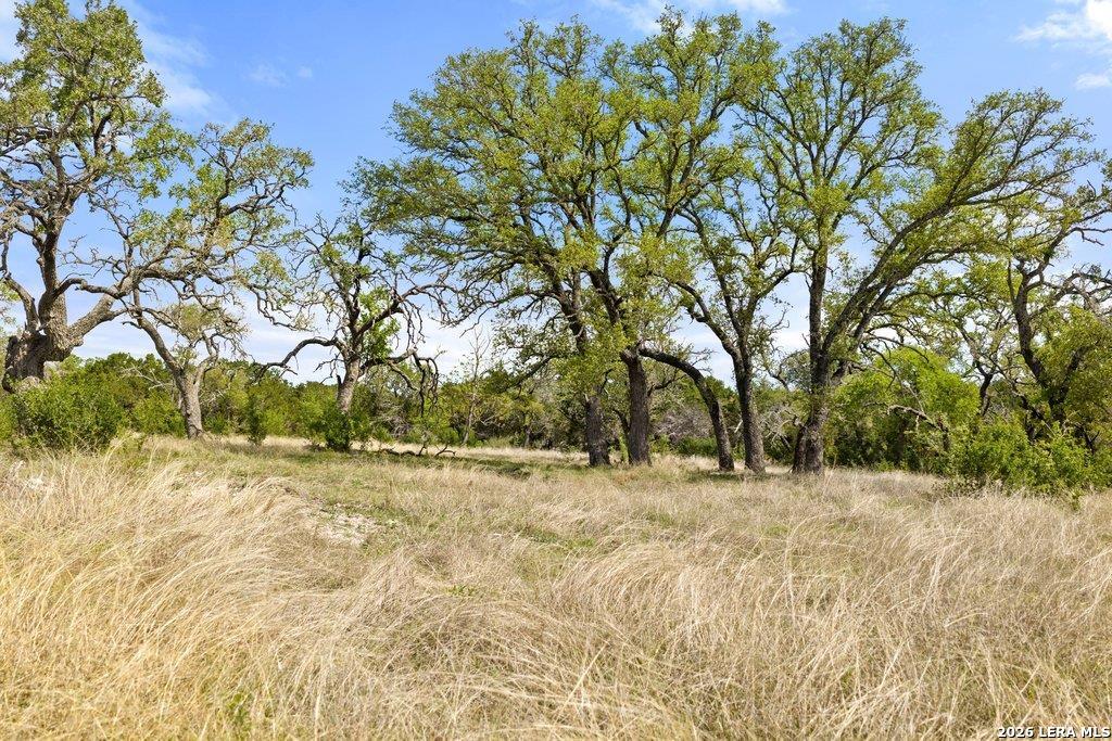 4772-11 County Road 340 Burnet TX 76905