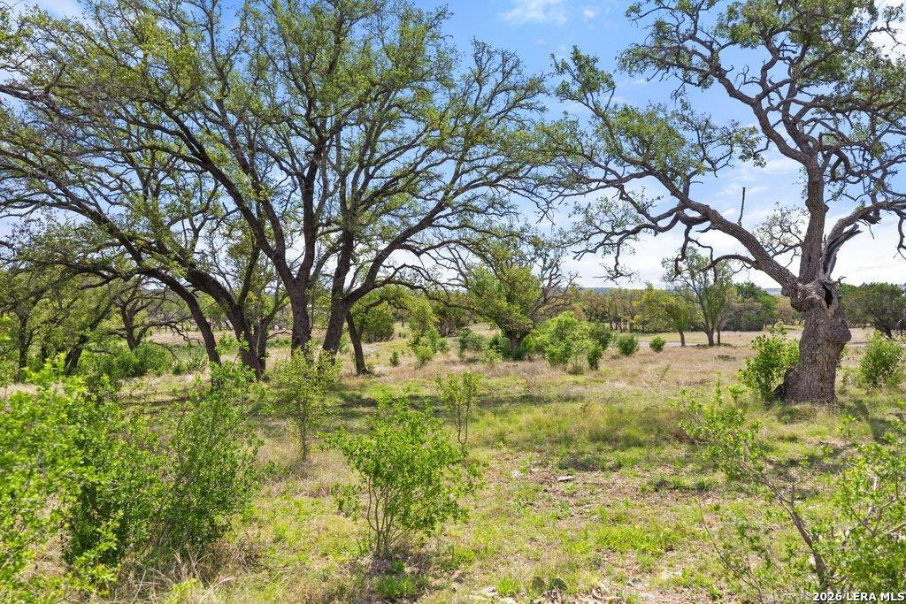 4772-11 County Road 340 Burnet TX 76905