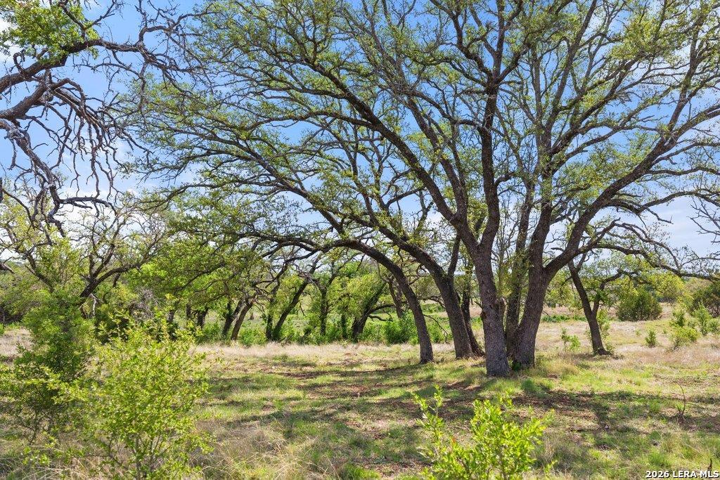 4772-11 County Road 340 Burnet TX 76905