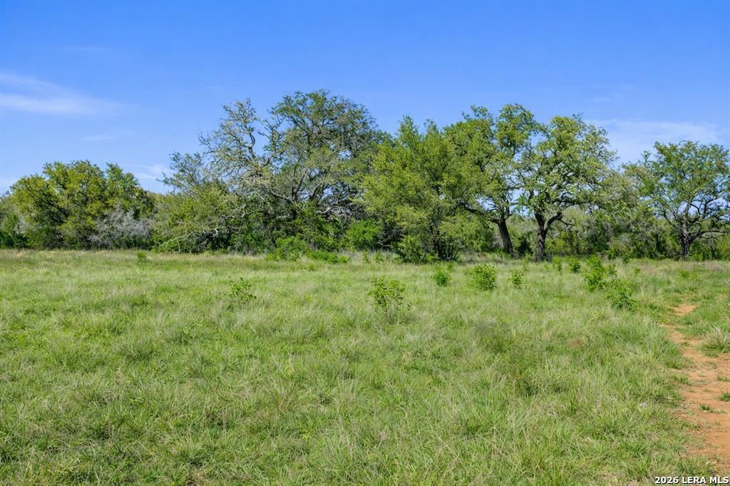 4772-11 County Road 340 Burnet TX 76905