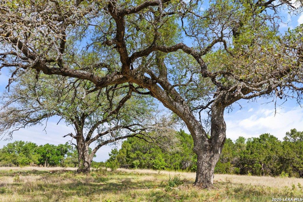 4772-11 County Road 340 Burnet TX 76905