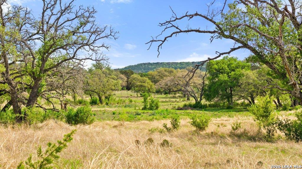 4772-11 County Road 340 Burnet TX 76905