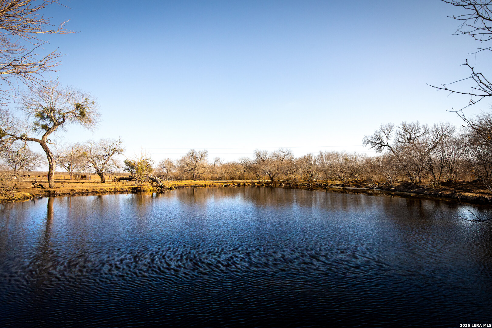 3407 Cr 215 Mccoy TX 78147
