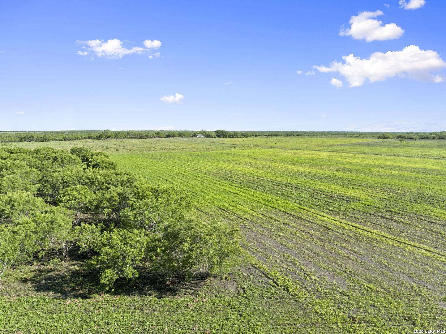 3407 Cr 215 Mccoy TX 78147