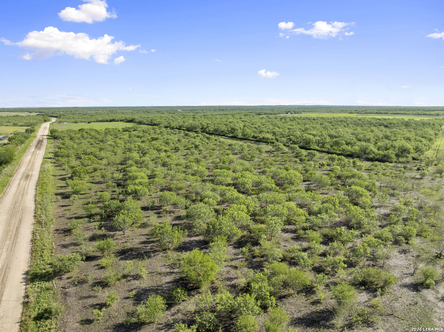 3407 Cr 215 Mccoy TX 78147