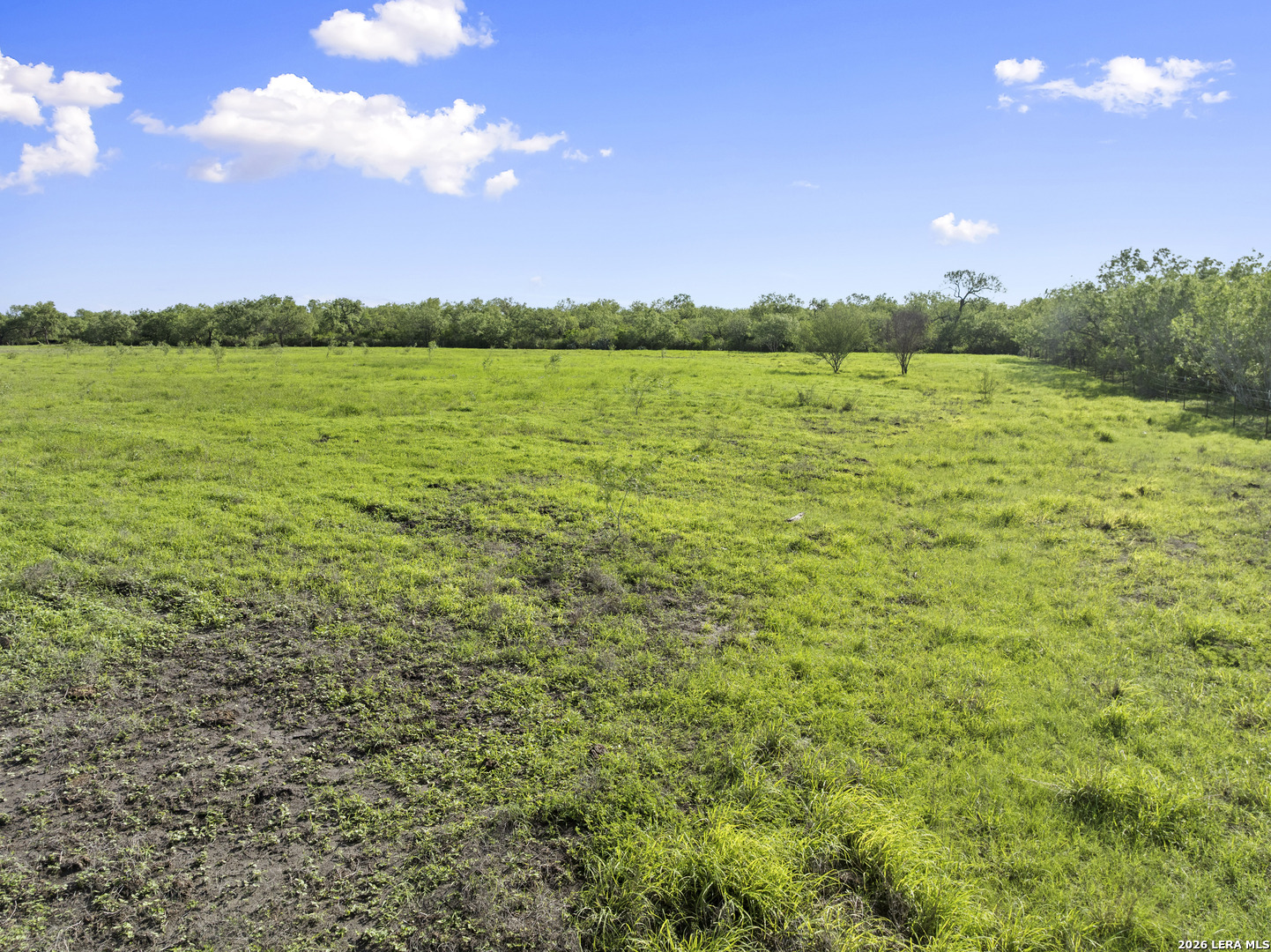 3407 Cr 215 Mccoy TX 78147
