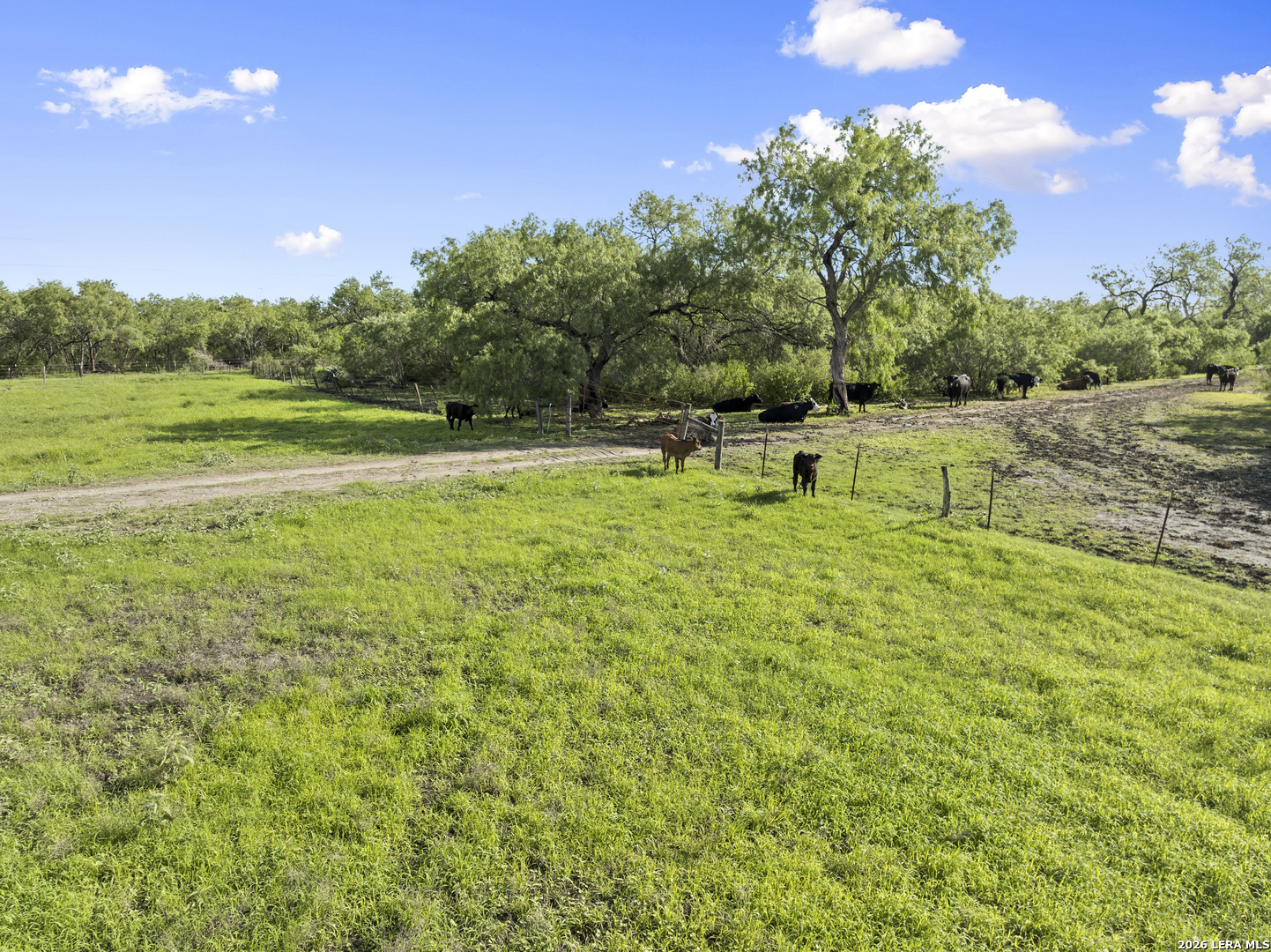 3407 Cr 215 Mccoy TX 78147