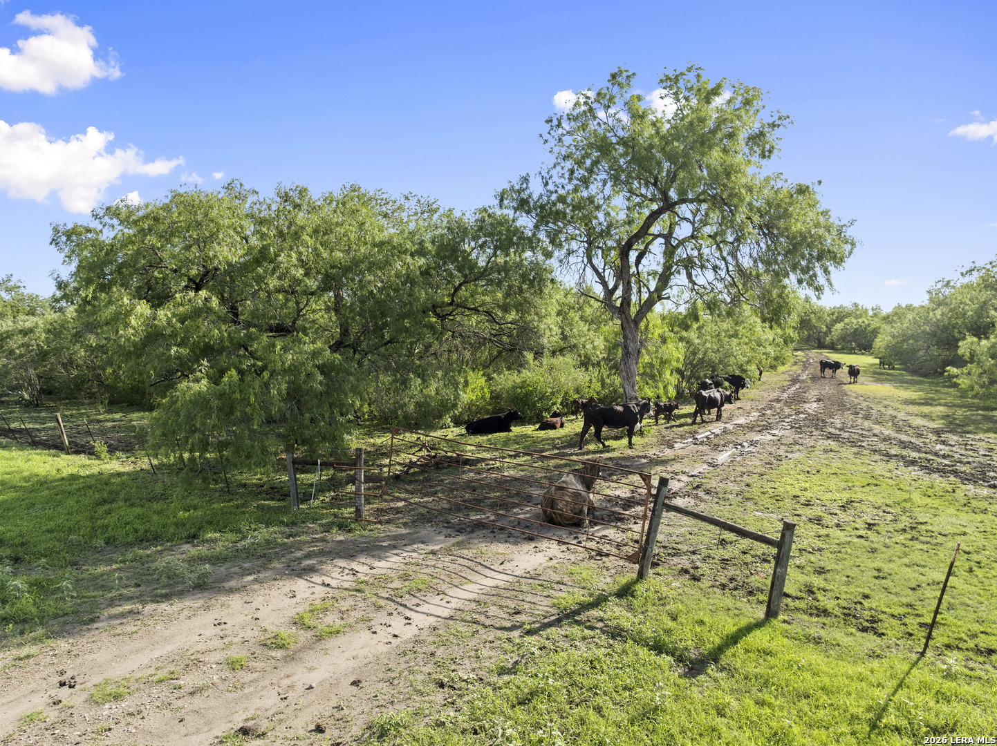 3407 Cr 215 Mccoy TX 78147