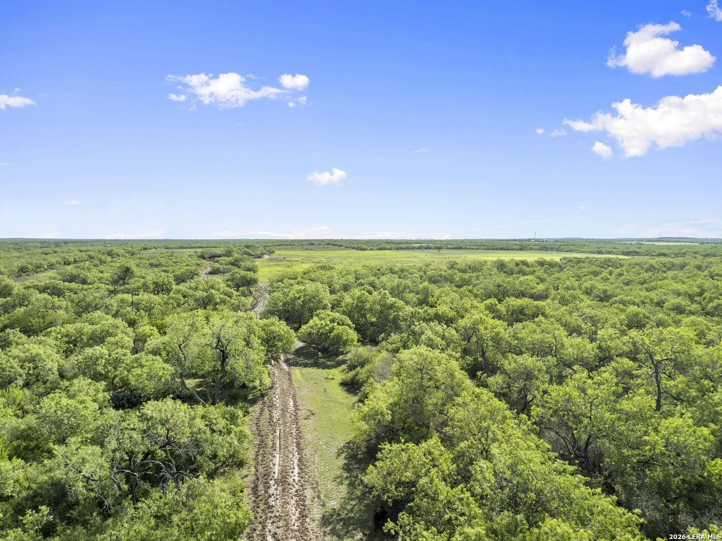 3407 Cr 215 Mccoy TX 78147