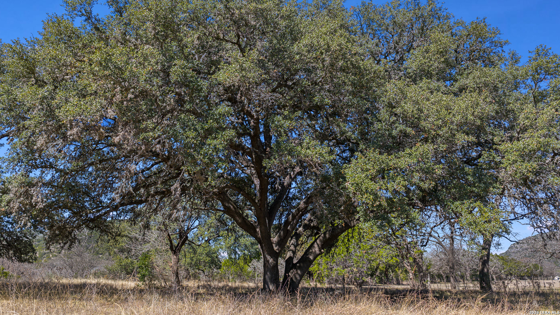 254 N. Fork Bonner Road Leakey TX 78873