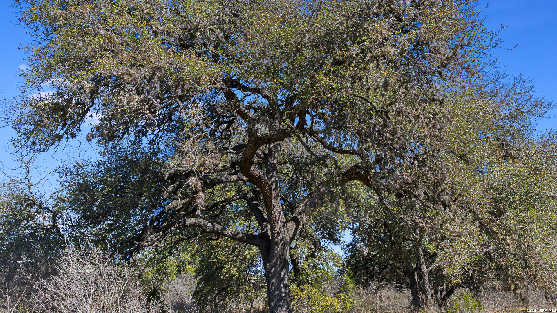 254 N. Fork Bonner Road Leakey TX 78873